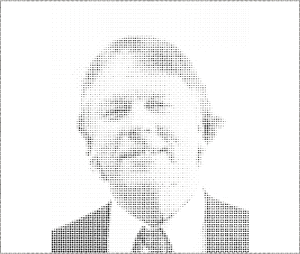 An example of model using discrete element method, which uses photo of Peter A. Cundall to initiate the particles Cundall DEM.gif