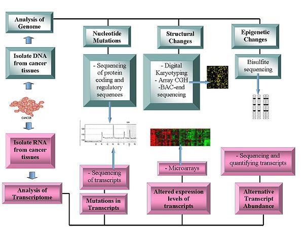 Current technologies being used in Oncogenomics. Current technologies being used in Oncogenomics.jpg