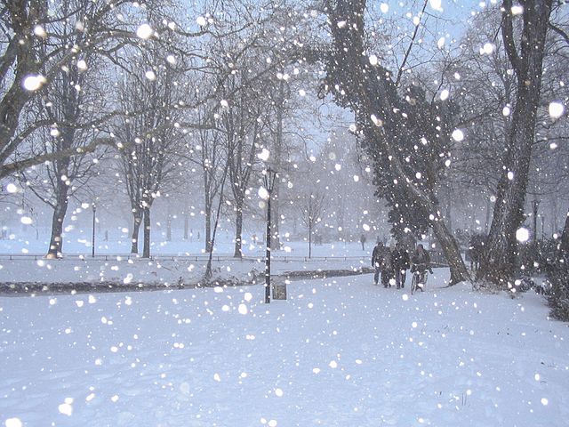 Snow - Wikimedia Commons