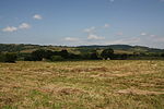 English: Field in Dźwiniacz Górny. Polski: Pole na terenie dawnej wsi Dźwiniacz Górny.