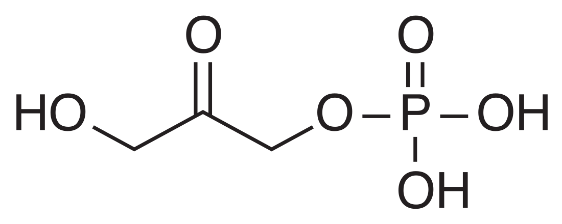 二羥丙酮磷酸