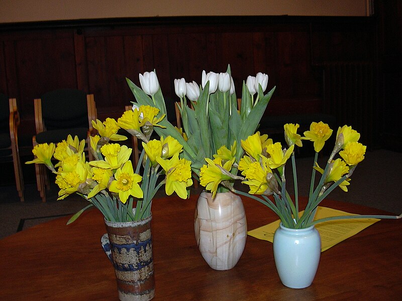 File:Daffodil Ministry.jpg