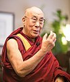 Dalai Lama (refugee in India)