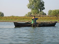 Fiskerbåd på Sulina-armen
