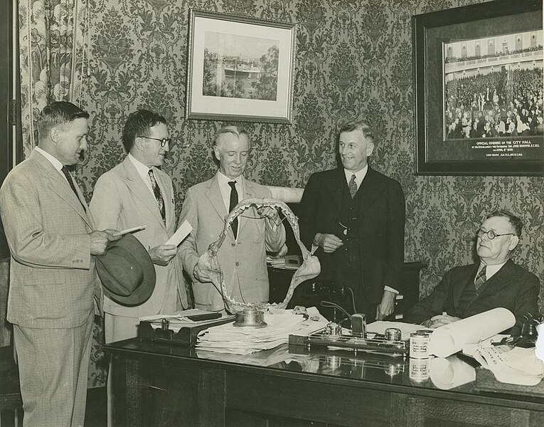 File:Deputation from Wynnum visiting the Lord Mayor Alfred Jones, Brisbane, ca. 1934 (4442615588).jpg