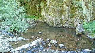 <span class="mw-page-title-main">Devinska reka</span> River in Bulgaria