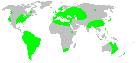 Distribution.pholcus.phalangioides.1.png