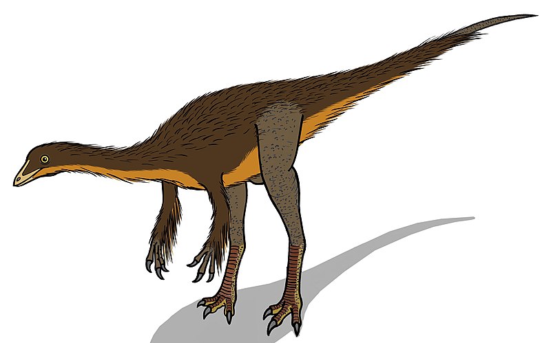 File:Dromiceiomimus 03747.JPG