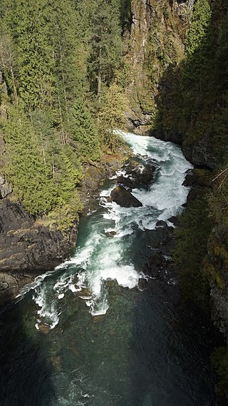 <span class="mw-page-title-main">Campbell River (Vancouver Island)</span> River