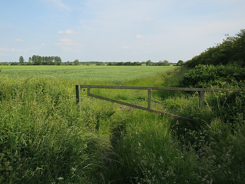 File:End of the byway - geograph.org.uk - 4991333.jpg