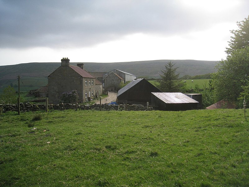 File:Esk House - geograph.org.uk - 2384554.jpg