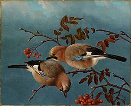 Ferdinand von Wright - Jays - A-2002-627 - Finnish National Gallery.jpg