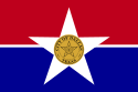 ダラス市の市旗