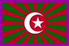Flag of Timoudi