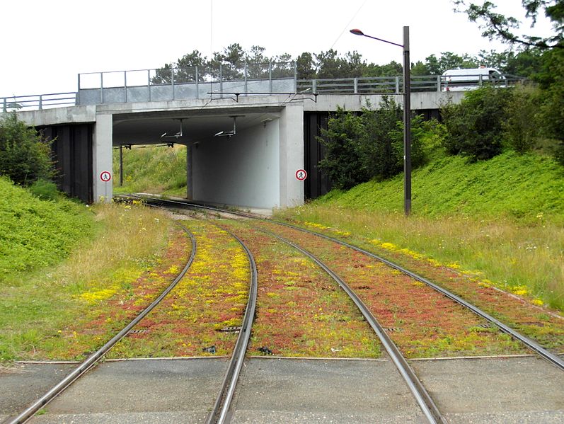 File:Flickr - IngolfBLN - Le Mans - Tramway - Antarès-Guetteloup (15).jpg