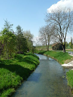 Beaver near Ramsen with the mouth of the Wettgraben (right)