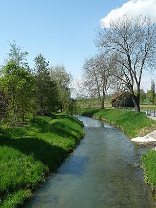 <span class="mw-page-title-main">Biber (Rhine)</span> River in the borderland between Germany and Switzerland.