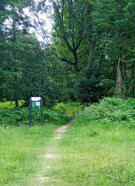 File:Footpath and sign in Wyre Forest - geograph.org.uk - 1372062.jpg