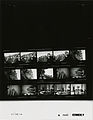 Ford A2225 NLGRF photo contact sheet (1974-11-30)(Gerald Ford Library).jpg