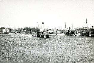 Former Sydney ferry KUBU sunk in Blackwatlle Bay White Bay 1964.jpg