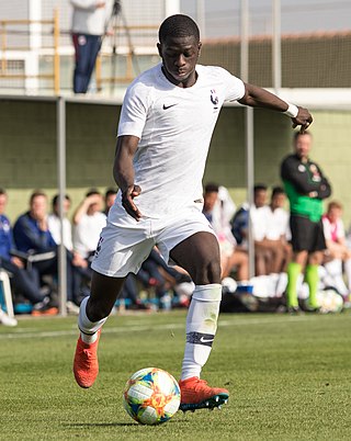 <span class="mw-page-title-main">Sambou Sissoko</span> French association football player