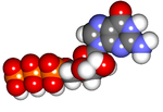 Vignette pour Guanosine triphosphate