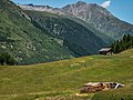 * Nomination Landscape near Galtür, as seen from Jamtal valley. Tyrol, Austria --Basotxerri 16:15, 1 August 2017 (UTC) * Promotion Good quality. --Poco a poco 16:21, 1 August 2017 (UTC)