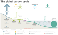 Global Carbon Project (2022) Global carbon cycle.png