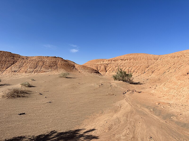 File:Gobi Desert 2023 in Ömnögovi Province, Mongolia 9.jpg