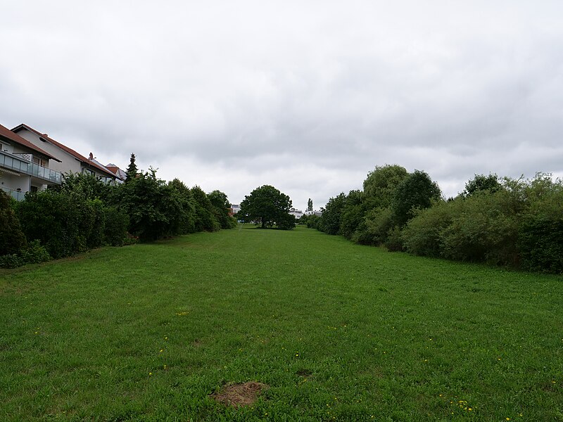 File:Grüne Lunge park Fulda 2019-07-14 01.jpg