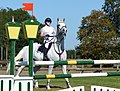 * Nomination Rider on a grey horse, show jumping, refusal (1.10 m), Grand Prix amateur at the Horse, donkey and pony fair in Rennes, La Prevalaye, September 2019. --Tsaag Valren 22:57, 14 September 2019 (UTC) * Decline  Oppose Pressed the shutter too early. The horse is covered by the uprights, while the right side is empty. --Steindy 23:13, 19 September 2019 (UTC)