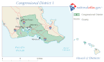 Thumbnail for 2010 Hawaii's 1st congressional district special election