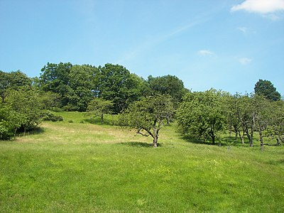 Heiliger Grund, Hasenkopf-Hang