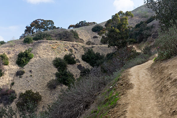 Puente Hills in Hellman Wilderness Park