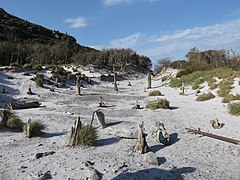 Sand near Hely-Hutchinson Reservoir