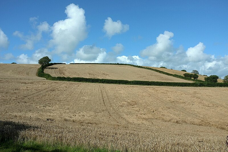 File:Hillside, Ashford - geograph.org.uk - 4637429.jpg