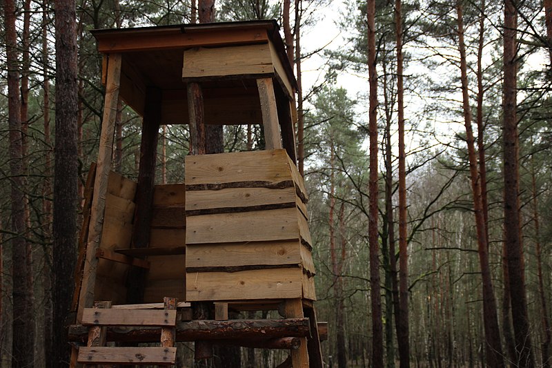 File:Hochsitz Basdorfer Wald.jpg