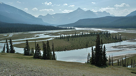 Howse River from Glacier Lake Trail Howse River from Glacier Lake Trail.jpg