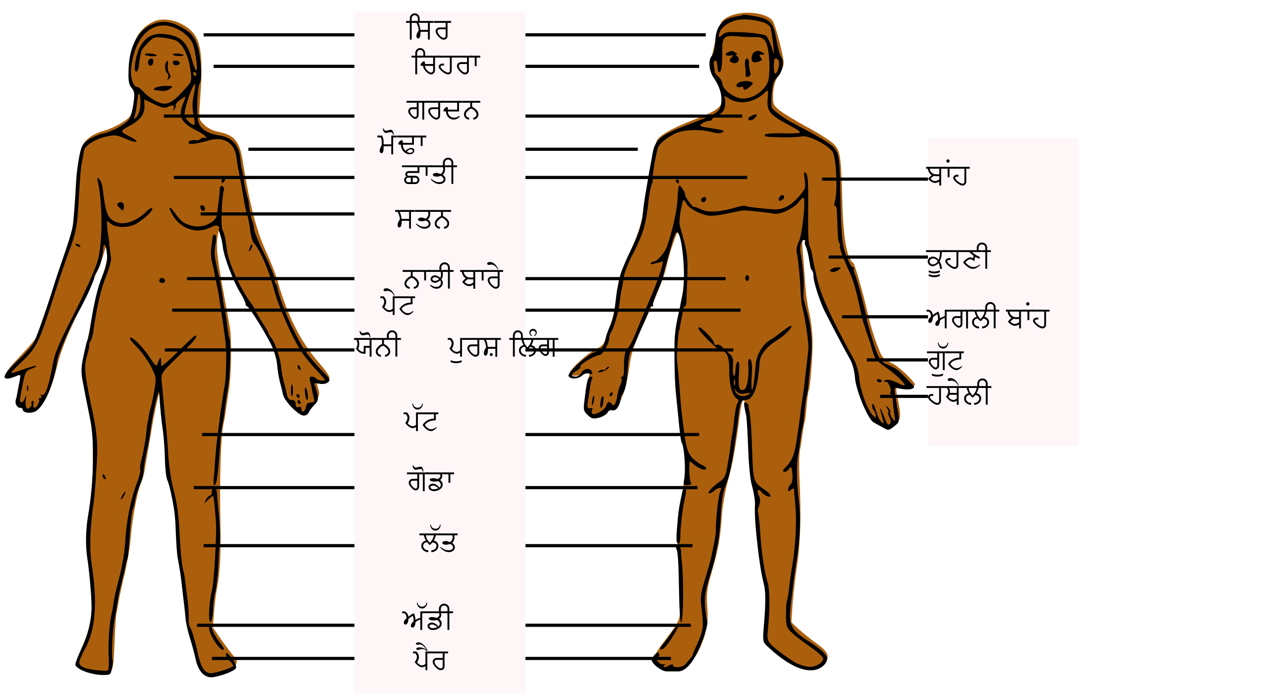 parts of the body pictures