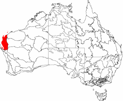 The IBRA regions, with Carnarvon in red IBRA 6.1 Carnarvon.png