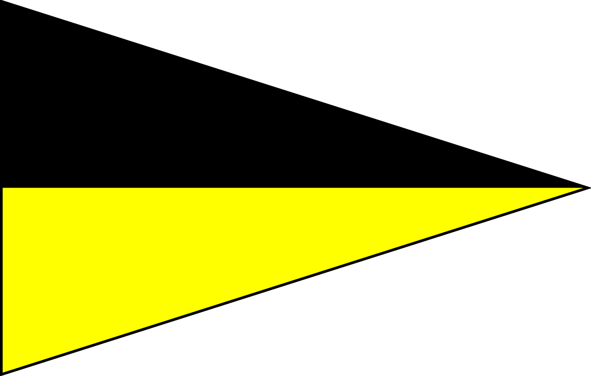 User flag. Баннер СВГ. Country with Black Triangle on Flag.