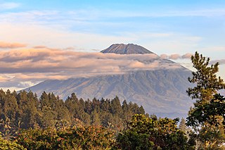 <span class="mw-page-title-main">Mount Sumbing</span> Active stratovolcano on the island of Java, Indonesia