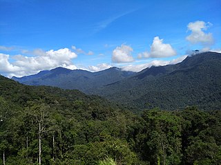<span class="mw-page-title-main">Titiwangsa Mountains</span> Mountain range in Thailand and Malaysia