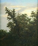 J.I. van Ruisdael - Bosgezicht - NK2447 - Museum Boijmans Van Beuningen.jpg