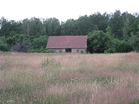 Jabłoniec (województwo dolnośląskie) (004)