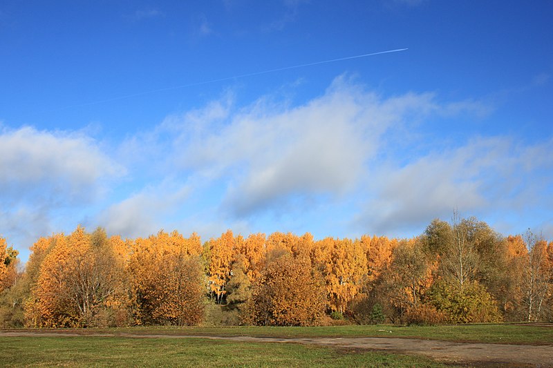 File:Jedem das Seine - panoramio.jpg