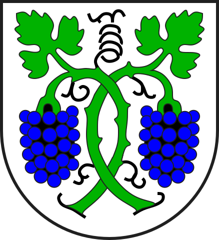 File:Jenins wappen.svg