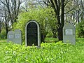 image=File:Jewish cemetery in Chelm (15).JPG
