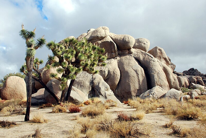 File:Joshua Tree - Rock formation in Real Hidden Valley 1.jpg