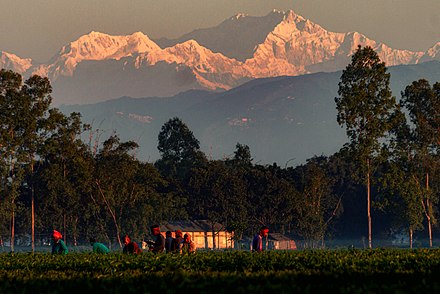 View of the Darjeeling Himalayan hill region and Kangchenjunga from the plains of north Bengal